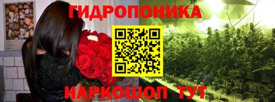 крисы Янаул